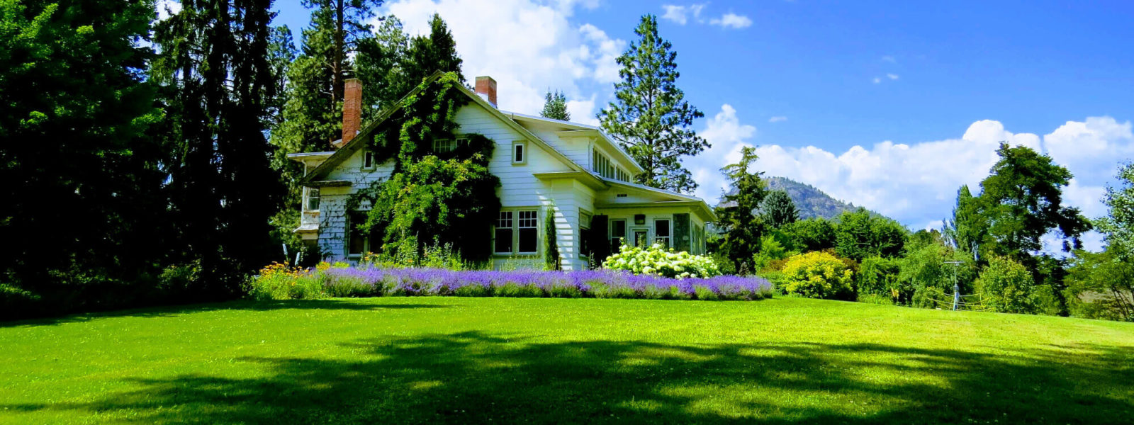 house&garden (1)